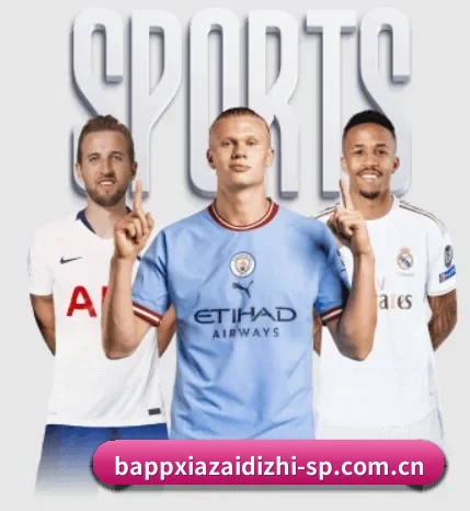 b体育app APP | bsport
