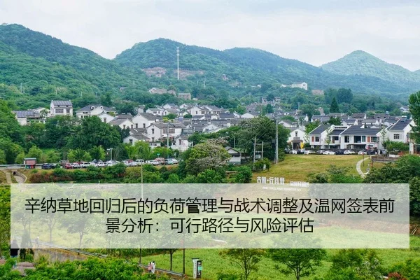 辛纳草地回归后的负荷管理与战术调整及温网签表前景分析：可行路径与风险评估 | bsport